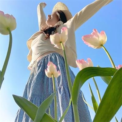 新木偶奇遇记